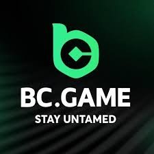 BC.Game Login Your Gateway to Exciting Crypto Gaming -224557342